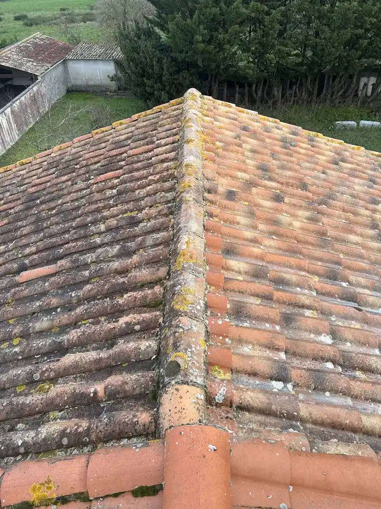 Nettoyage de toiture à Nîmes